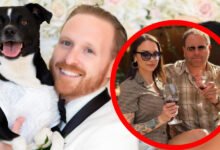 Josh Gates Wife