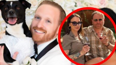Josh Gates Wife