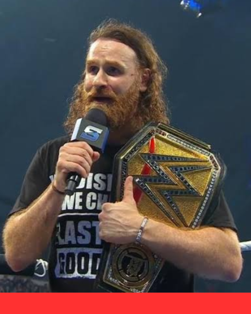 Sami Zayn Net Worth