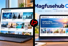 Magfusehub Com
