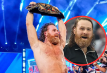 Sami Zayn Net Worth