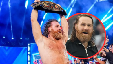 Sami Zayn Net Worth